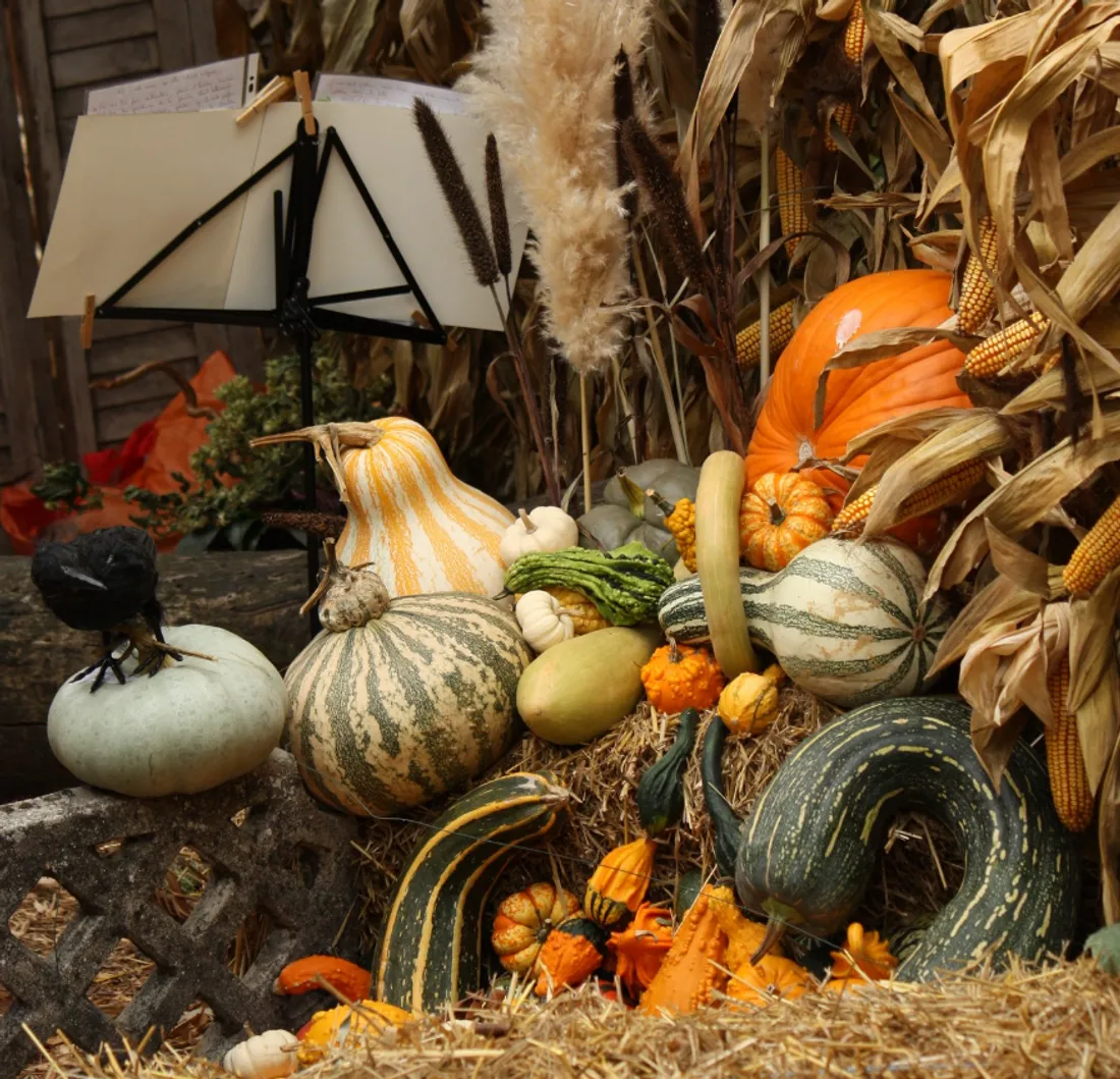 courge.jpg (1.60 MB)