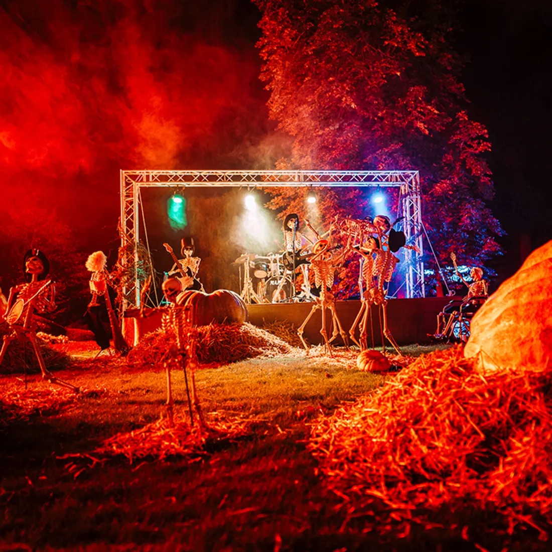 fiestamortal-nocturnes_0.jpg (696 KB)