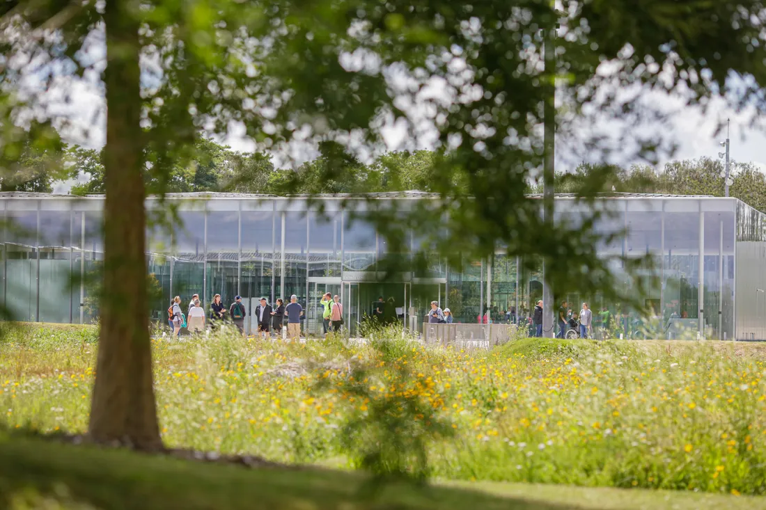 parc-louvre-lens-22.jpg (923 KB)