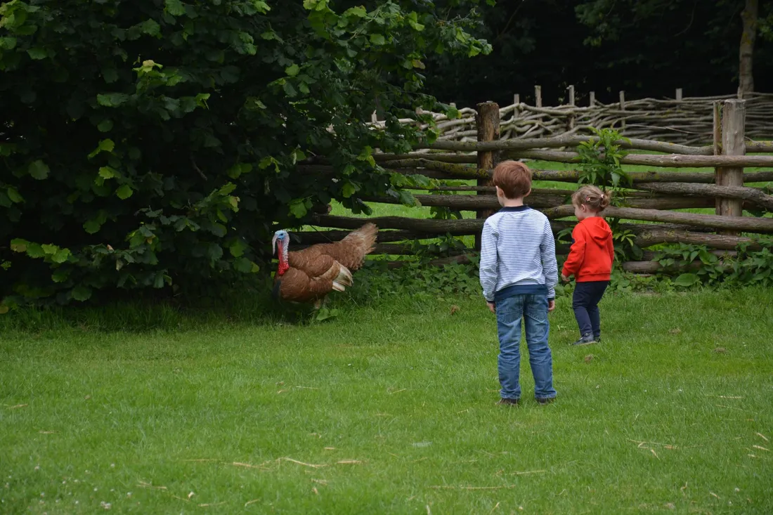 rdv_petits_fermiers.jpg (354 KB)