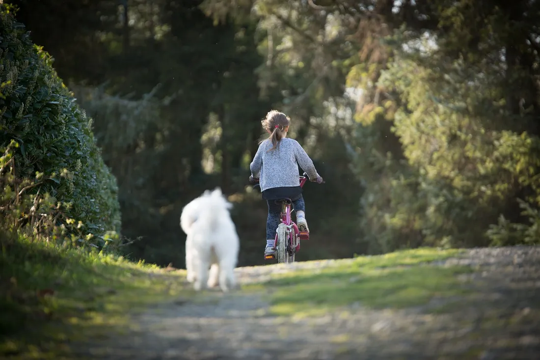 vélo_enfant_chien.jpg (218 KB)