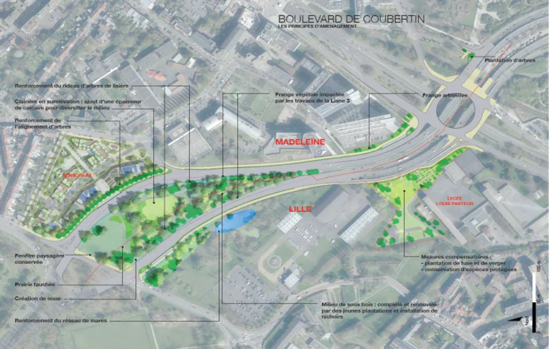 TRAVAUX LILLE MADELEINE.png (894 KB)