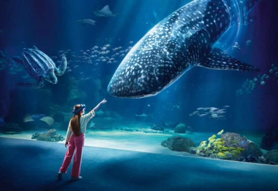 Grand-large-1280-611x420.jpg (39 KB)