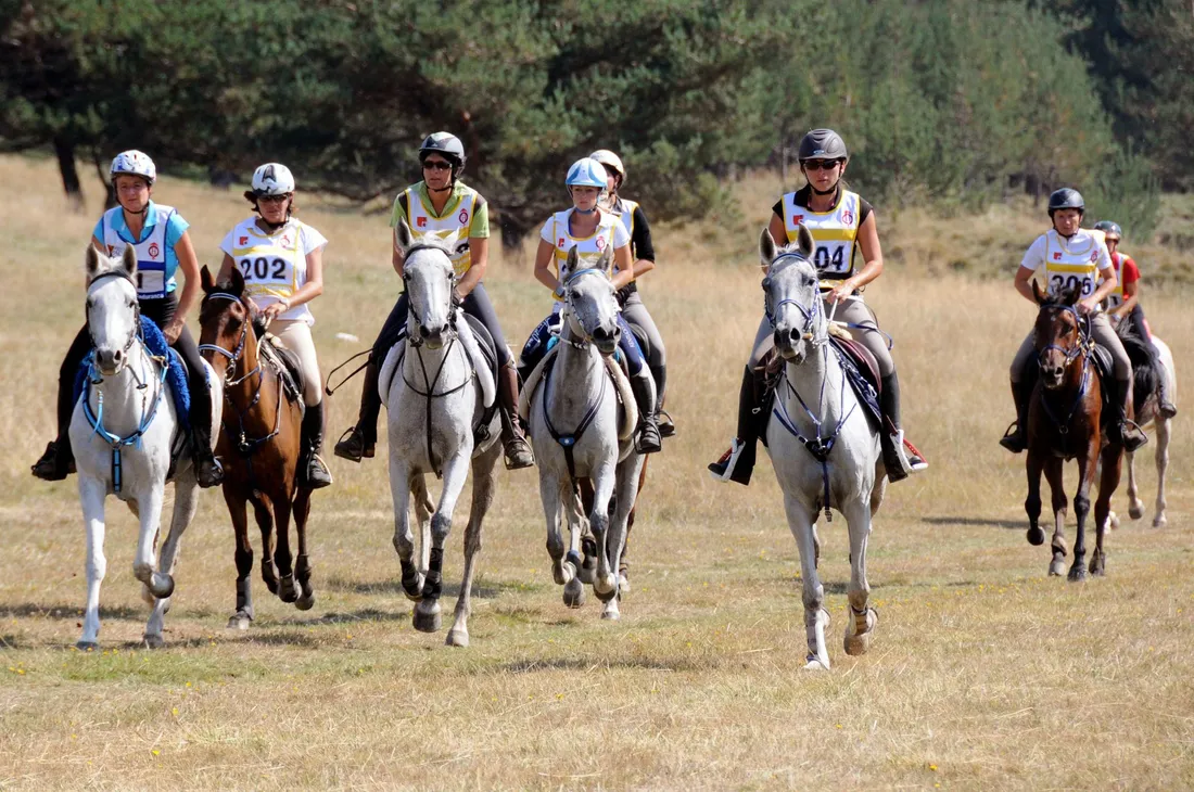 RADIO CAMARGUE