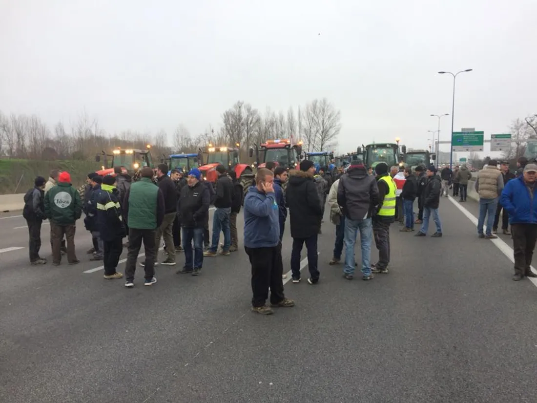 TOULOUSE FM