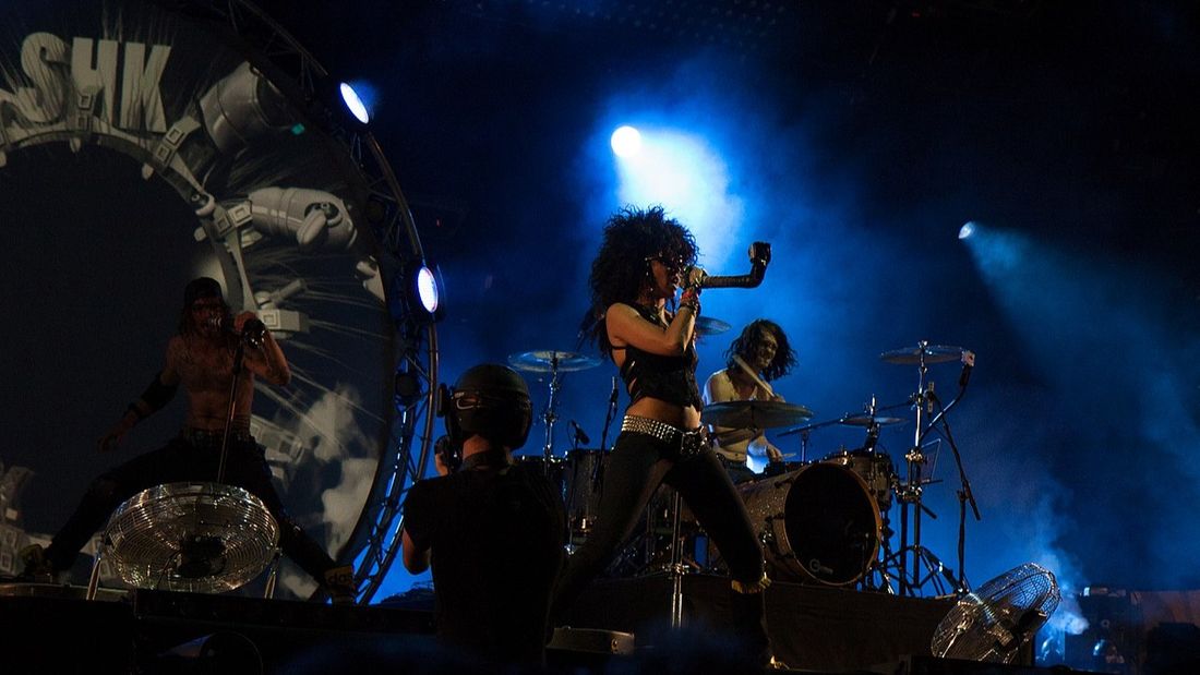 Shaka Ponk
