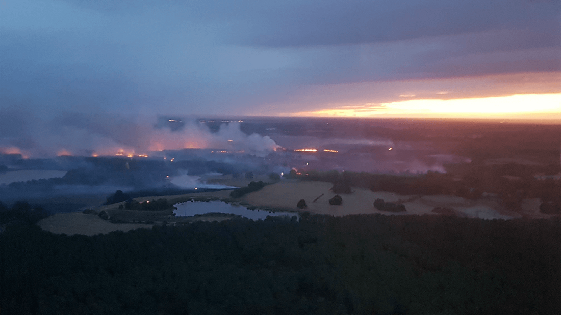 Feu de végétation