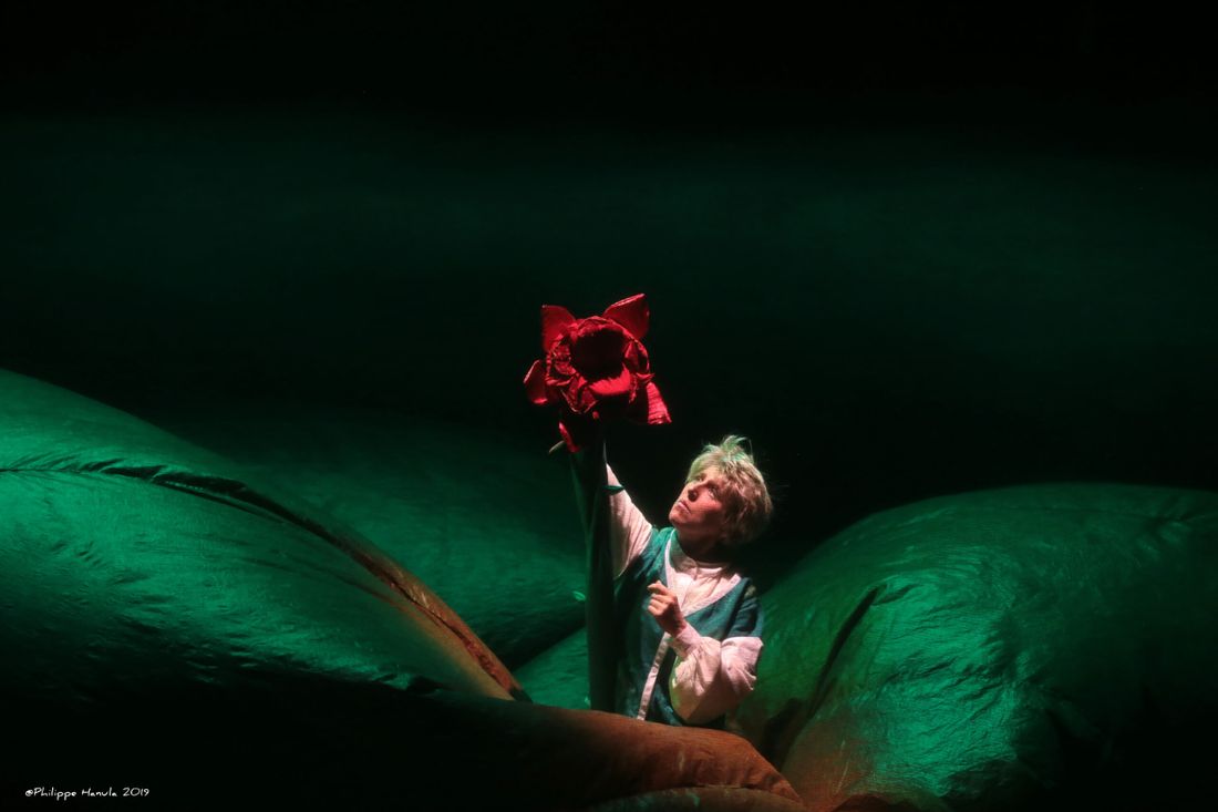 Le Petit Prince