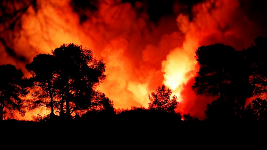 [ ENVIRONNEMENT ] Incendies dans le Var: Le feu gagne du terrain et le constat est déjà alarmant