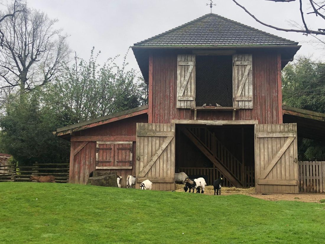 Mini-ferme
