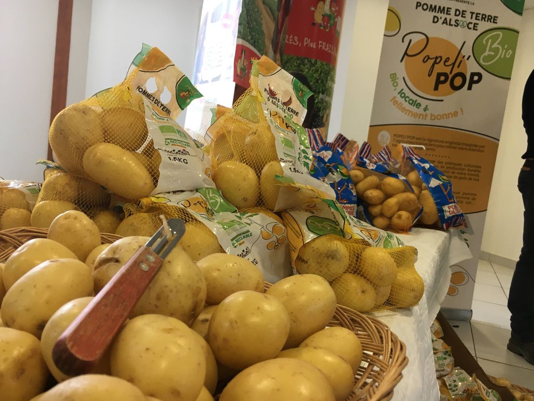 pommes de terre primeur bio Alsace IFLA