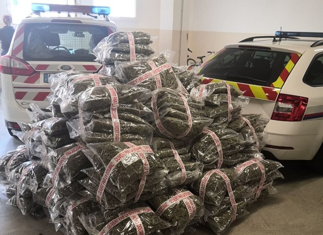 Les forces de l'ordre ont saisi l'équivalent de 5 383 707 euros de drogue en février en Côte d'Or 