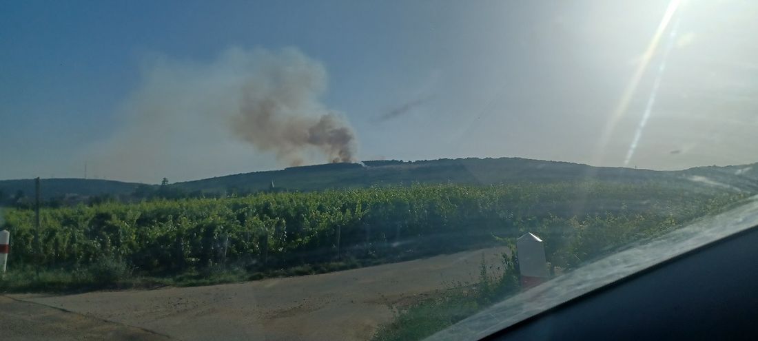Un incendie avait touché les hauteurs de Vosne Romanée au mois de juillet