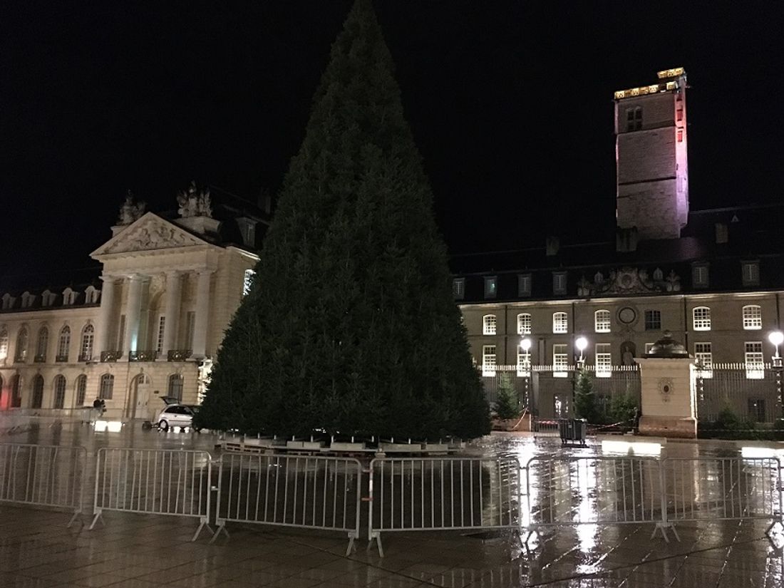 Le sapin de Noël de la ville de Dijon a été installé cette semaine place de la Libération 