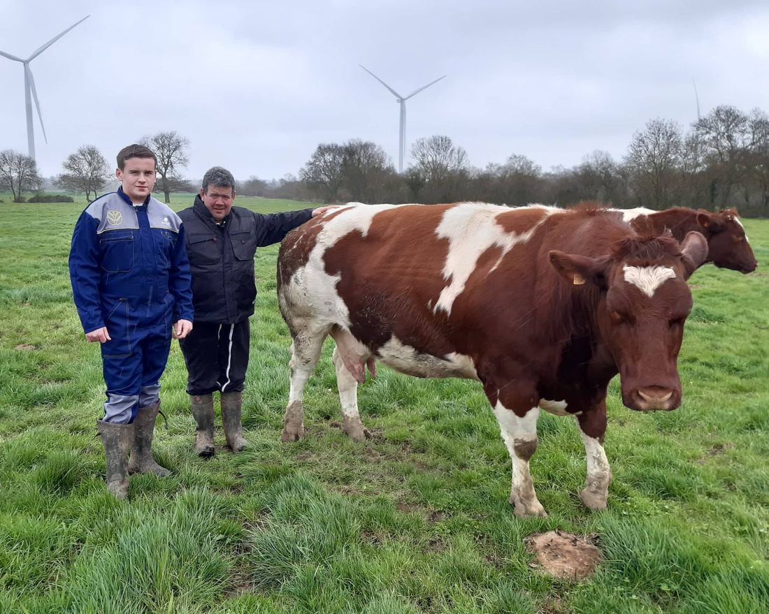 Anthony Gervais et son fils, Tanguy avec une des vaches sélectionnées