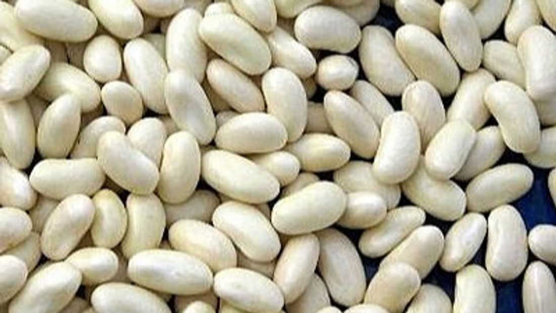 Mogette