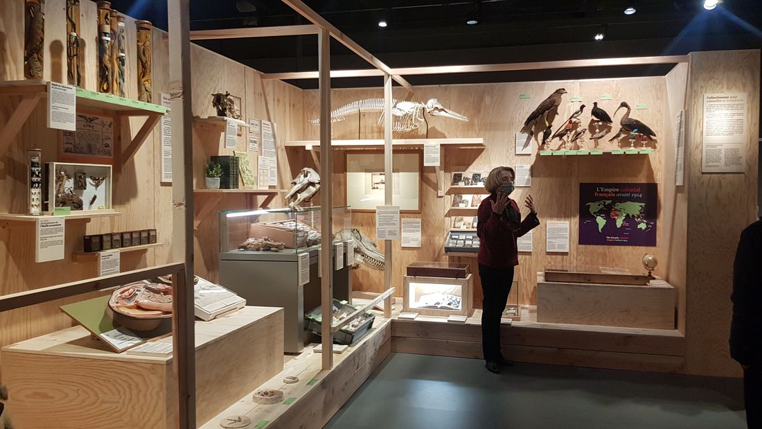 Museum d'histoire naturelle