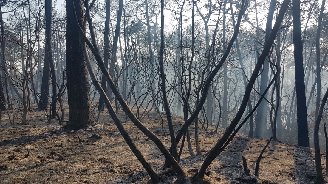 incendies 10