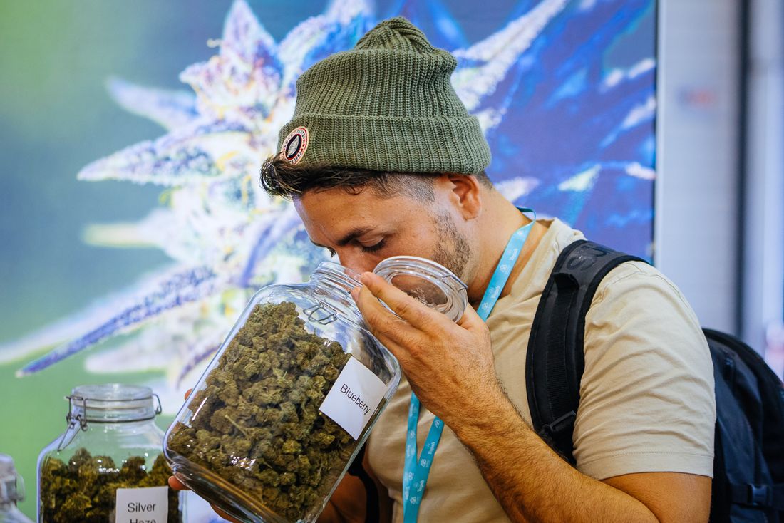 CBD Expo