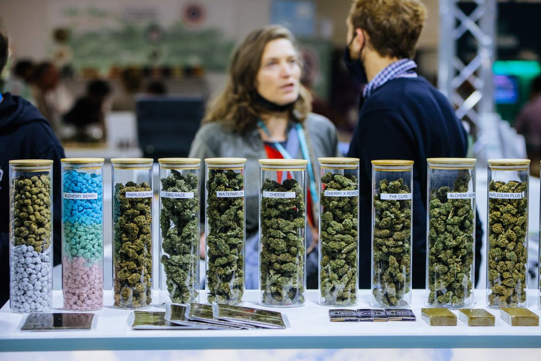 CBD Expo