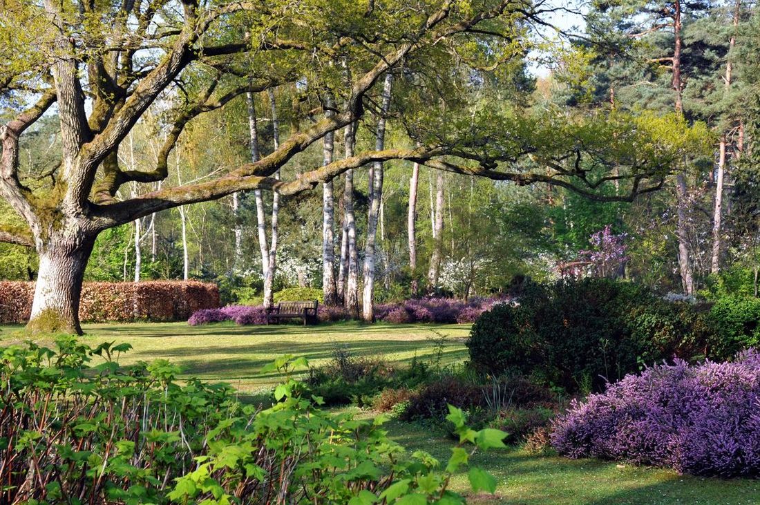 L'Arboretum est ouvert tous les jours de l'été.