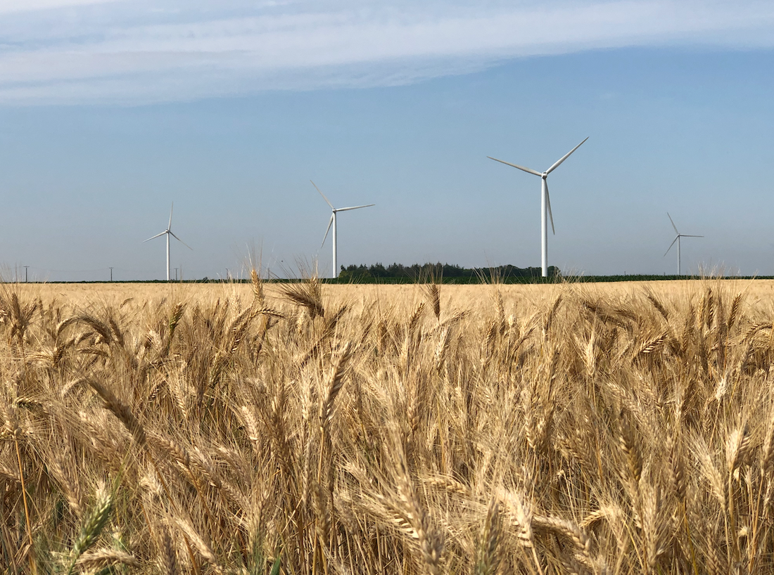 De nombreux postes sont à pourvoir dans les champs.