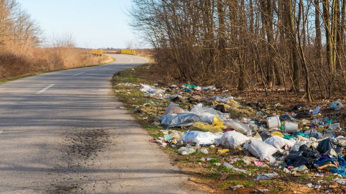 Pollution des bords de routes