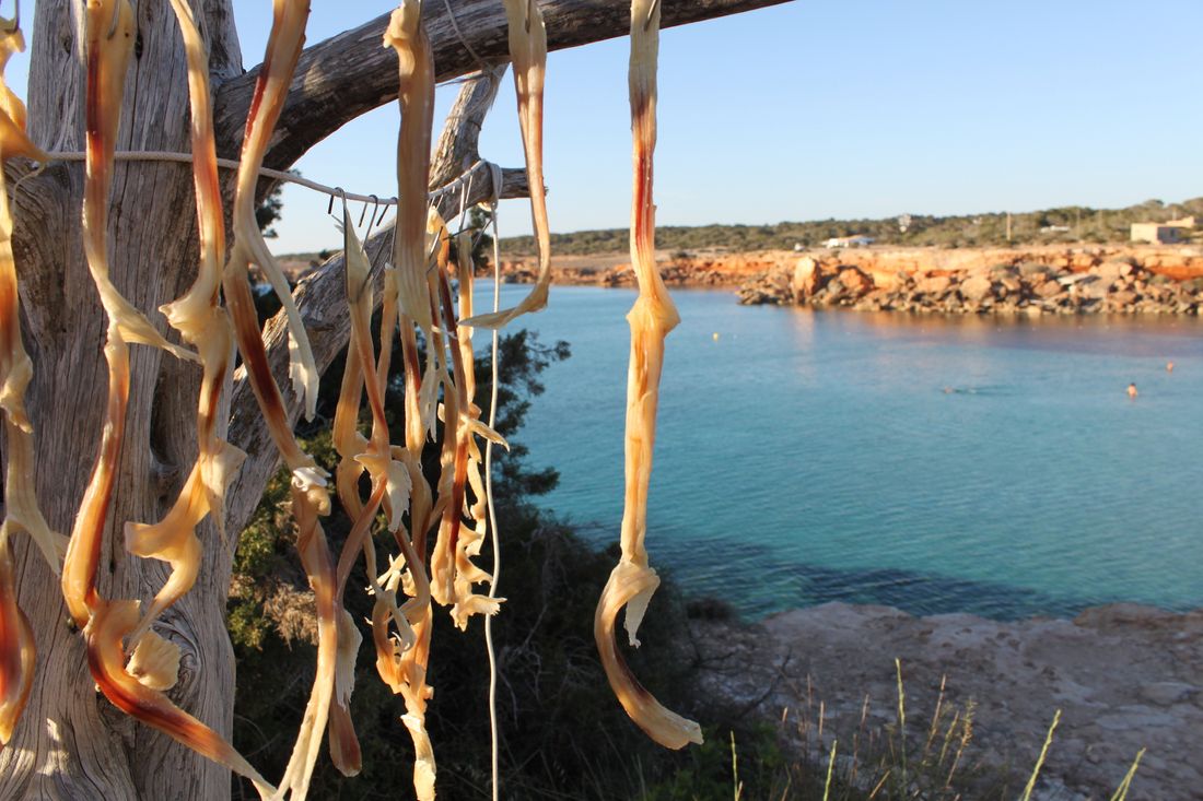 FORMENTERA