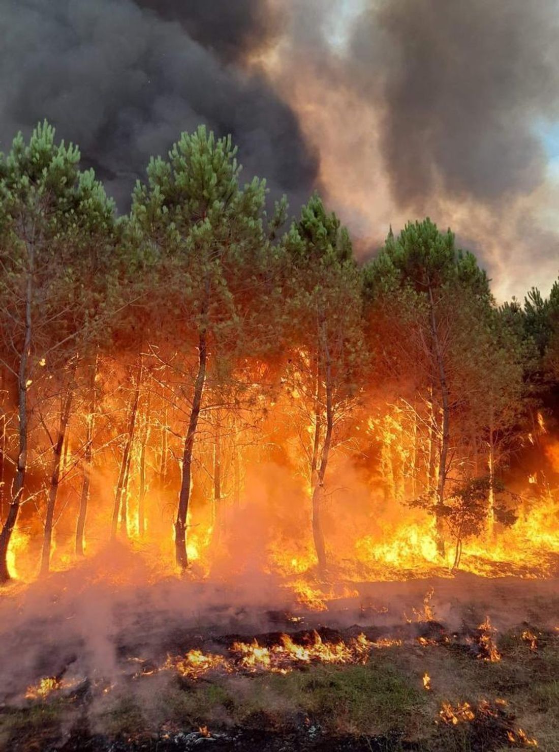 incendie Gironde
