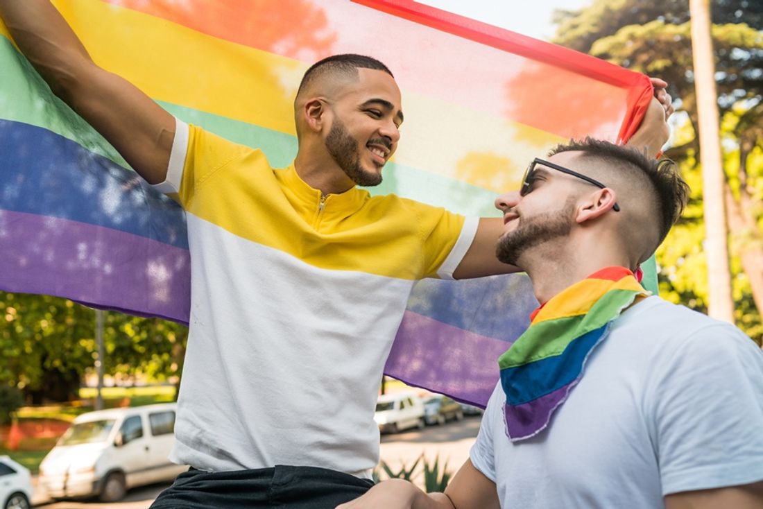 LGBT gay homo drapeau rainbow_17 06 22_Megostudio - envato elements