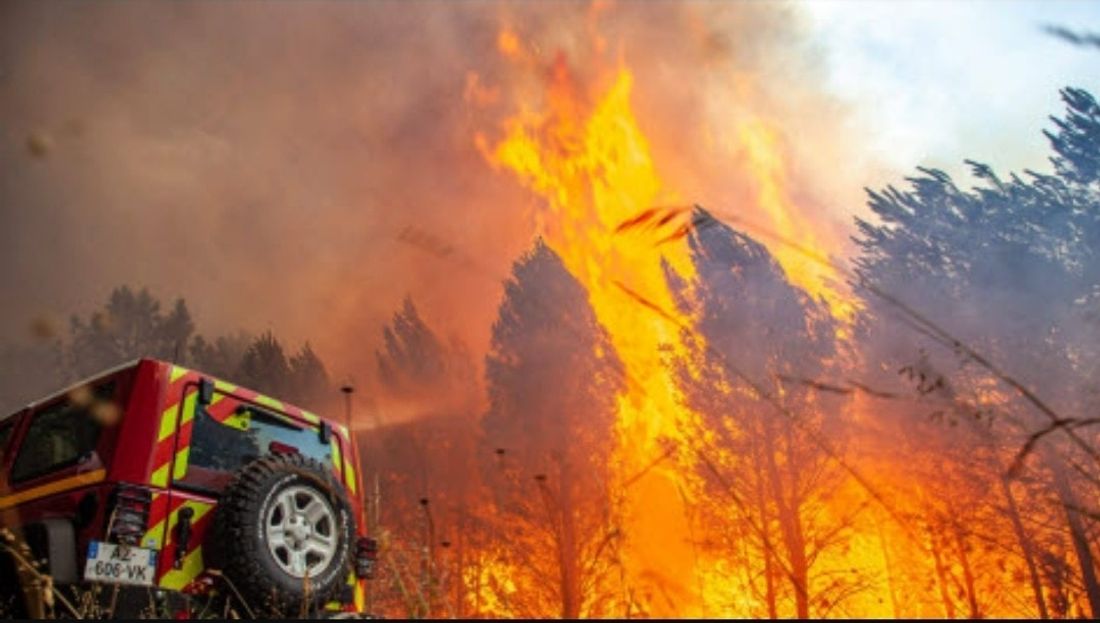 Pour limiter les départs de feu, la Préfecture du Bas-Rhin restreint les accès aux forêts