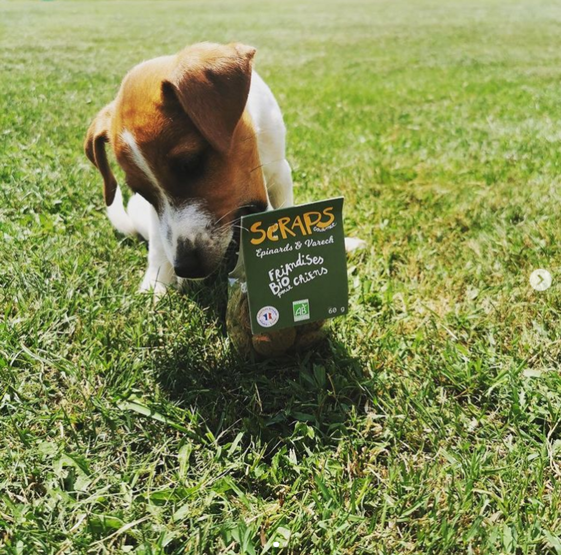 Scraps Gourmet