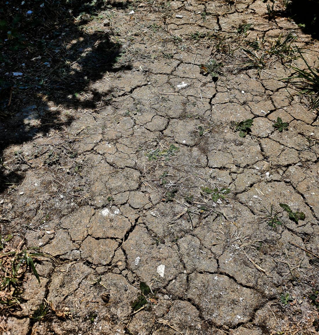 Un sol complètement craquelé par la sécheresse, illustration