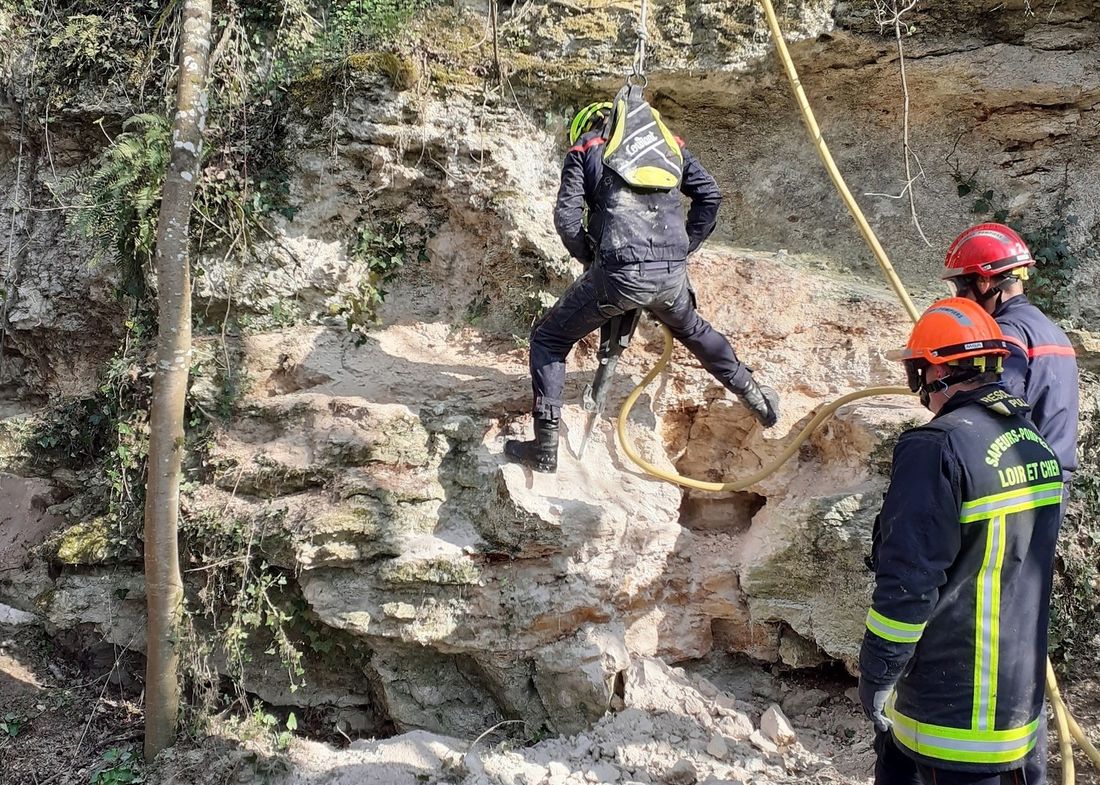 Les secours ont déployé d'importants moyens pour sauver la chienne.