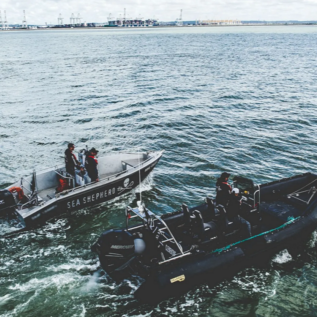 Sea Shepherd