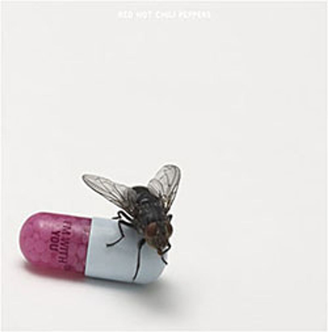 OUI FM