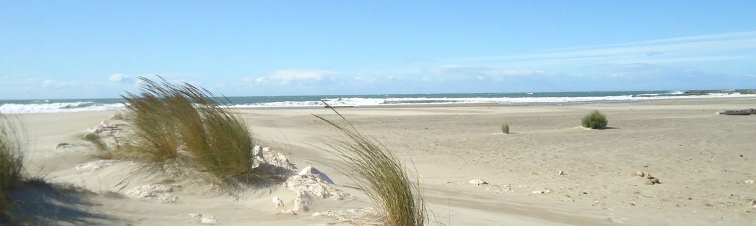 RADIO CAMARGUE