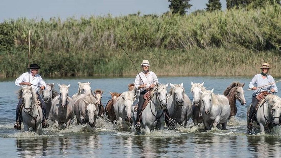 RADIO CAMARGUE
