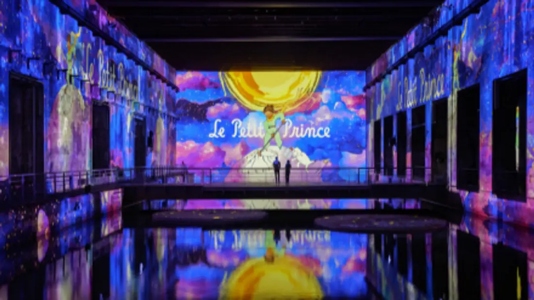 PLONGEZ DANS L'UNIVERS DU PETIT PRINCE AUX BASSINS DES LUMIERES