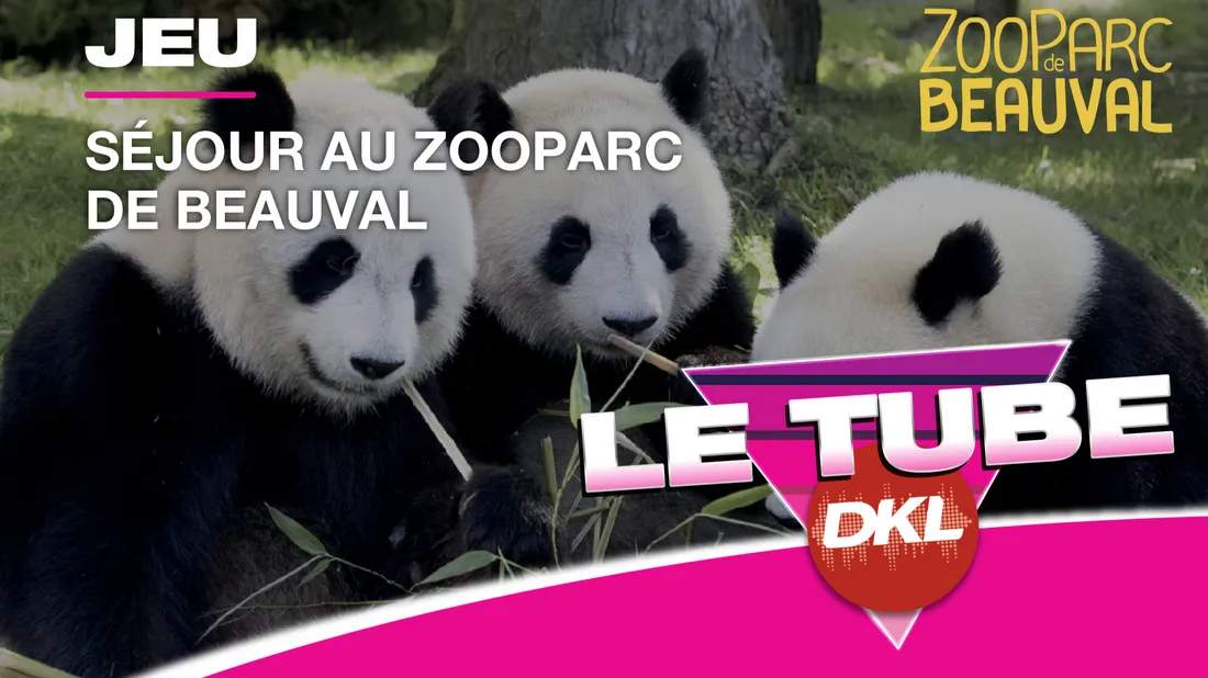 Gagnez votre séjour familial au Zoo de Beauval !