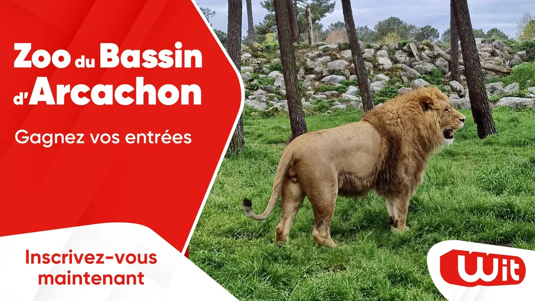 Zoo du Bassin d'Arcachon : gagnez vos entrées