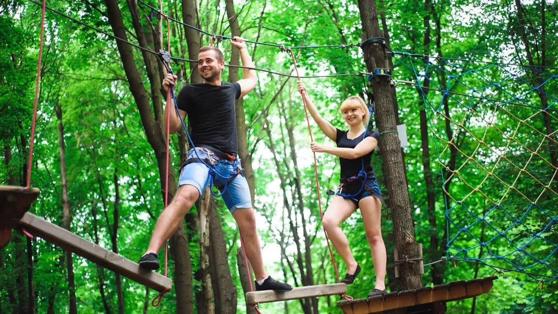 GAGNEZ VOS ENTREES POUR HAPPY FOREST 