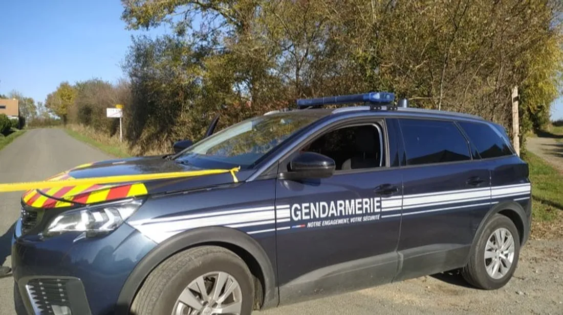 Montreuil-Juigné. Un homme avec une arme factice interpellé par les...