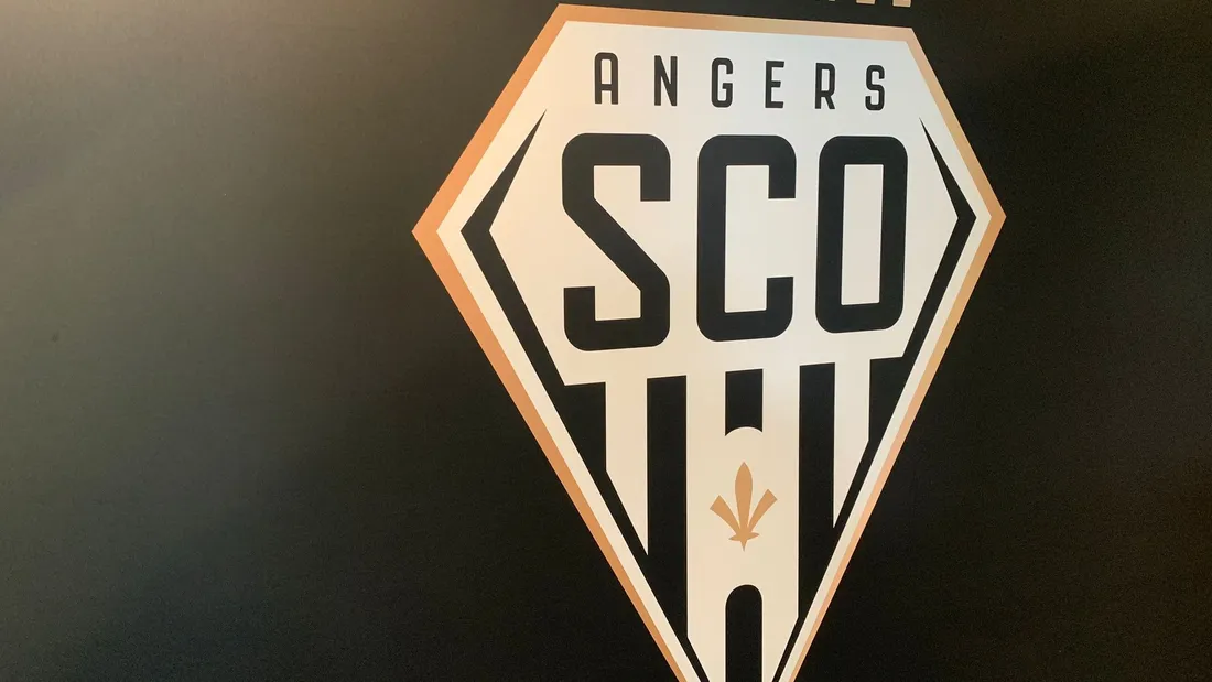 Handball. Angers Sco se prépare au repêchage en Proligue avec son...