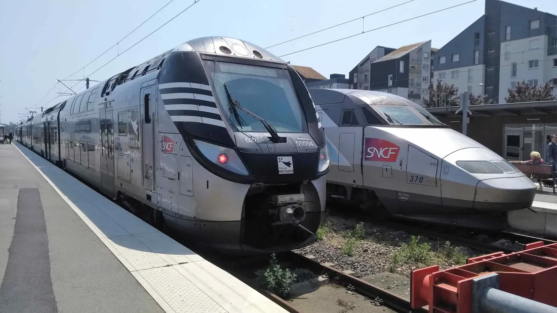 Le trafic SNCF paralysé dans le sud Bretagne par une souche d’arbre