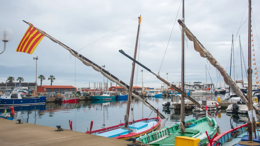 Festa Catalana 2025 : Banyuls-sur-Mer fait vibrer les...
