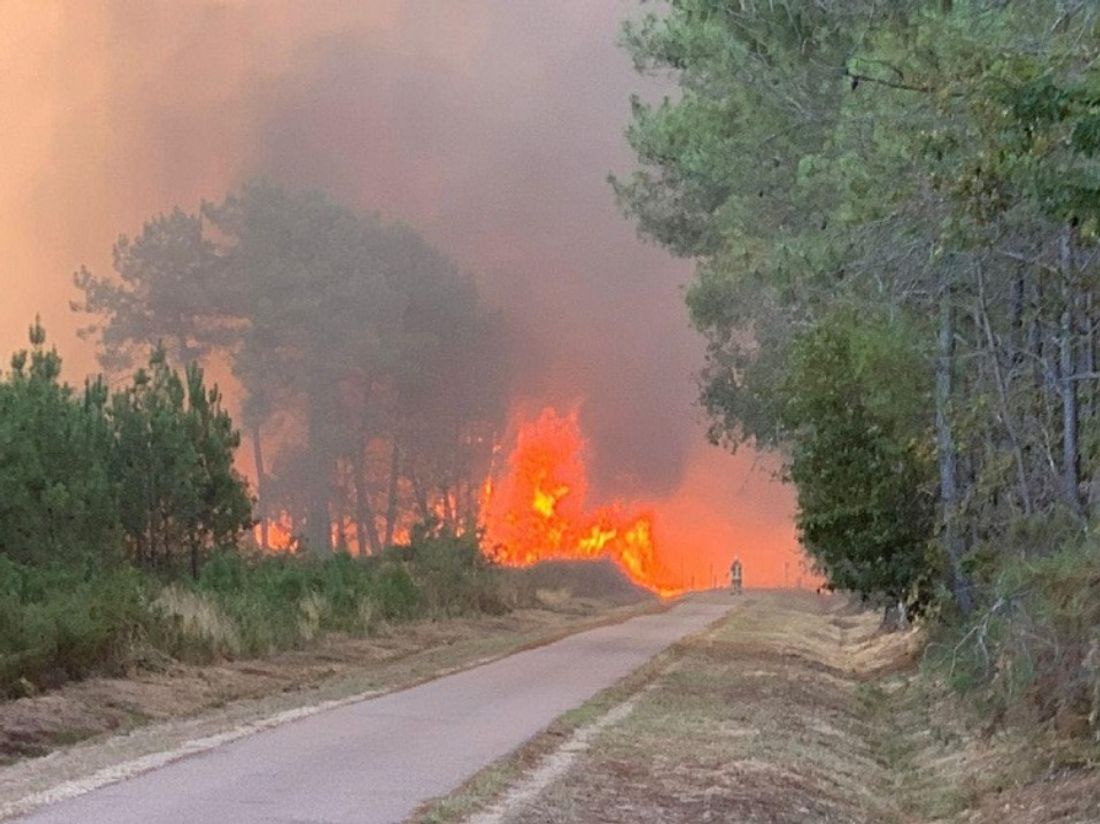 Arès : une centaine d'hectares brûlée, plus de 300 personnes évacuées