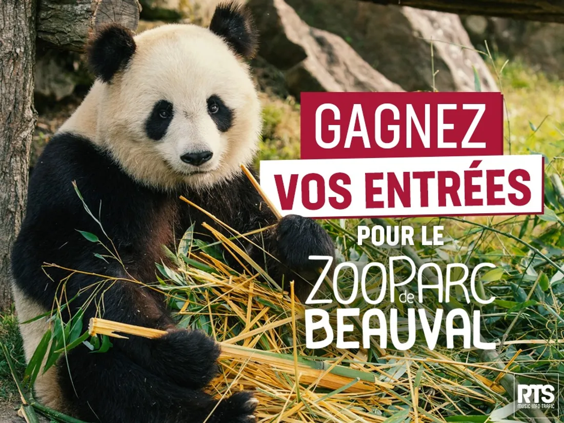Gagnez vos entrées pour le zoo de Beauval juin 2024