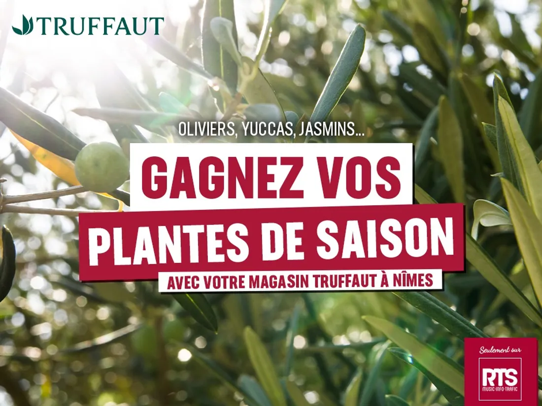 Gagnez vos plantes de saison avec Truffaut Nîmes