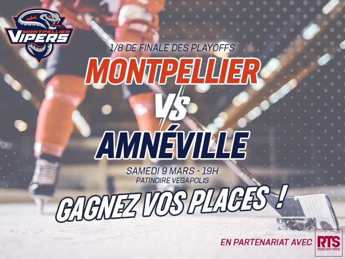 Vipers - Red Dogs d'Amnéville (1/8 de finale des playoffs)